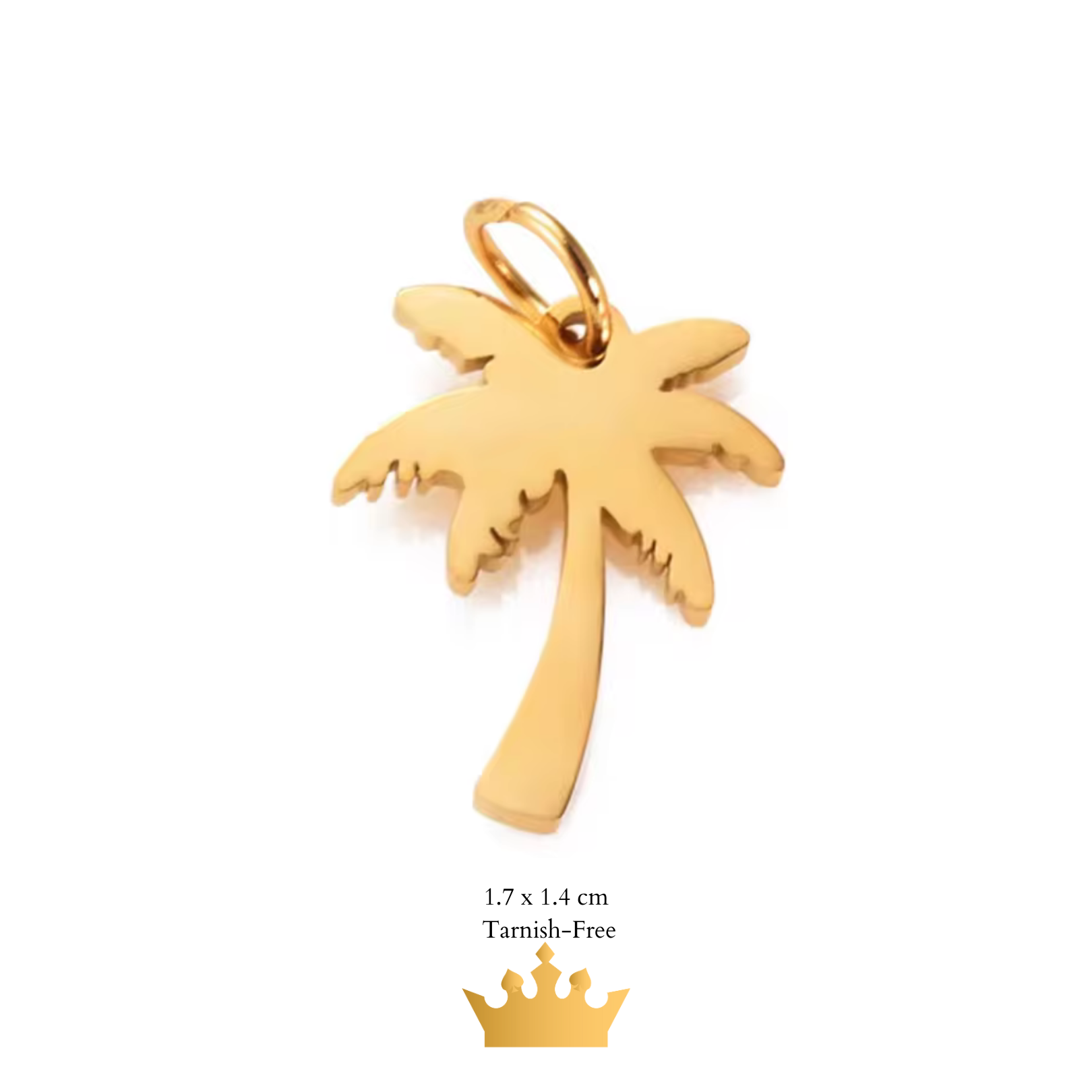 Charm Anklet